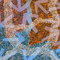 Aboriginal Artwork by Margaret Nangala Gallagher, Yankirri Jukurrpa (Emu Dreaming), 107x61cm