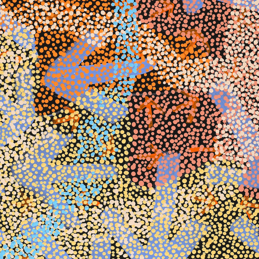 Aboriginal Artwork by Margaret Nangala Gallagher, Yankirri Jukurrpa (Emu Dreaming), 107x61cm