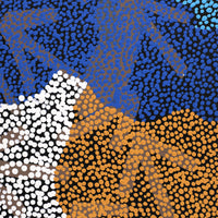 Aboriginal Artwork by Margaret Nangala Gallagher, Yankirri Jukurrpa (Emu Dreaming), 107x76cm