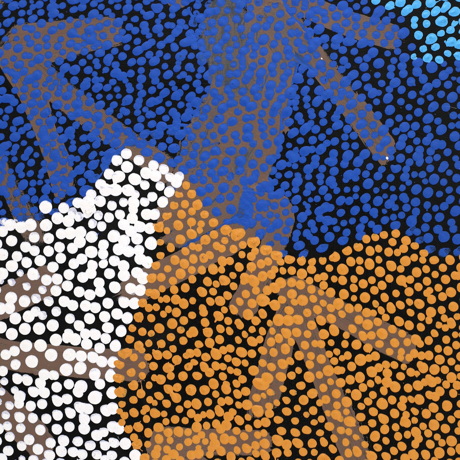 Aboriginal Artwork by Margaret Nangala Gallagher, Yankirri Jukurrpa (Emu Dreaming), 107x76cm