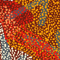Aboriginal Artwork by Margaret Nangala Gallagher, Yankirri Jukurrpa (Emu Dreaming), 122x46cm