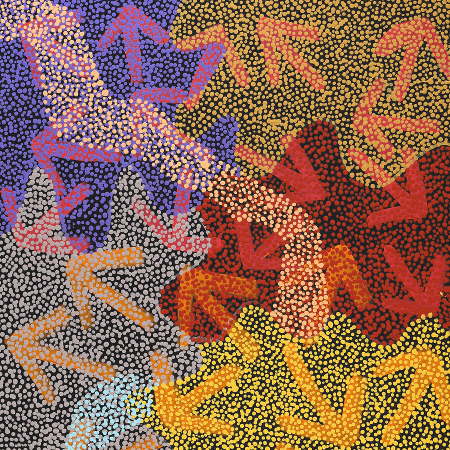 Aboriginal Artwork by Margaret Nangala Gallagher, Yankirri Jukurrpa (Emu Dreaming), 122x61cm