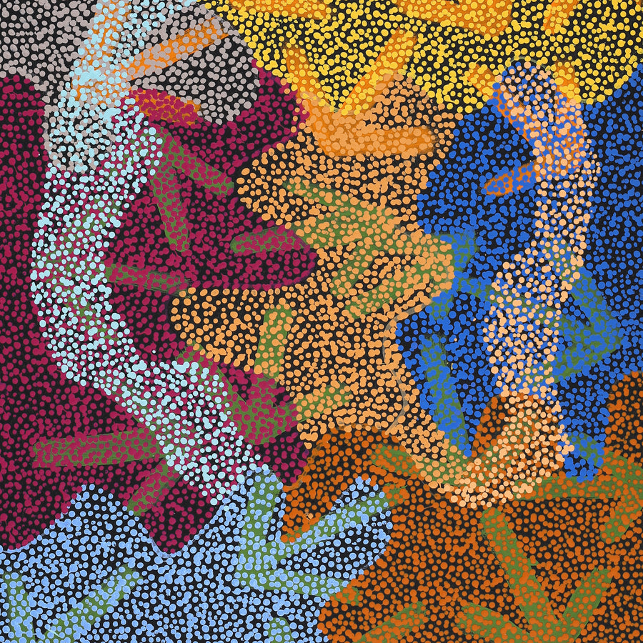 Aboriginal Artwork by Margaret Nangala Gallagher, Yankirri Jukurrpa (Emu Dreaming), 122x61cm