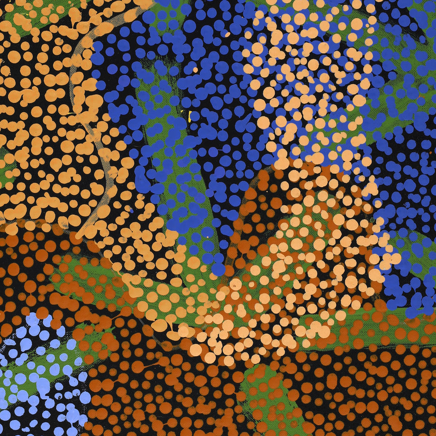 Aboriginal Artwork by Margaret Nangala Gallagher, Yankirri Jukurrpa (Emu Dreaming), 122x61cm