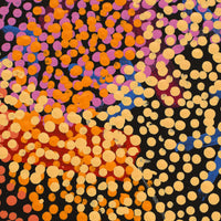 Aboriginal Artwork by Margaret Nangala Gallagher, Yankirri Jukurrpa (Emu Dreaming), 122x61cm