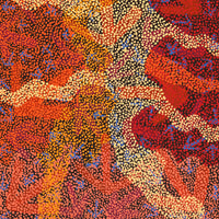 Aboriginal Artwork by Margaret Nangala Gallagher, Yankirri Jukurrpa (Emu Dreaming), 122x61cm