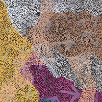 Aboriginal Artwork by Margaret Nangala Gallagher, Yankirri Jukurrpa (Emu Dreaming), 152x61cm