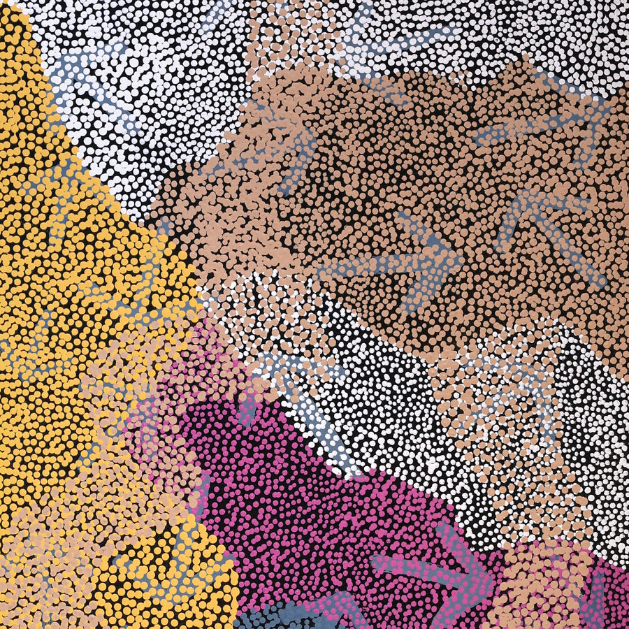 Aboriginal Artwork by Margaret Nangala Gallagher, Yankirri Jukurrpa (Emu Dreaming), 152x61cm
