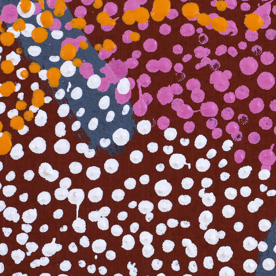 Aboriginal Artwork by Margaret Nangala Gallagher, Yankirri Jukurrpa (Emu Dreaming), 152x61cm