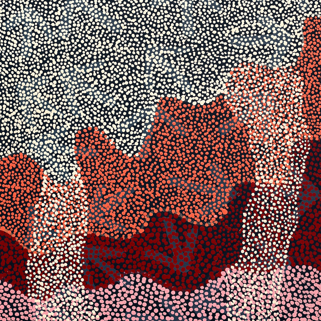 Aboriginal Artwork by Margaret Nangala Gallagher, Yankirri Jukurrpa (Emu Dreaming), 152x61cm