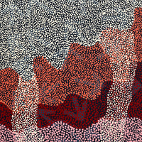 Aboriginal Artwork by Margaret Nangala Gallagher, Yankirri Jukurrpa (Emu Dreaming), 152x61cm