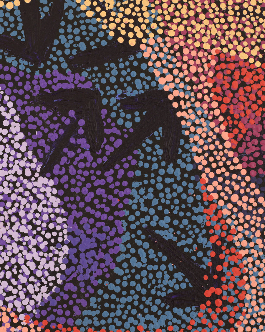 Aboriginal Artwork by Margaret Nangala Gallagher, Yankirri Jukurrpa (Emu Dreaming), 152x61cm