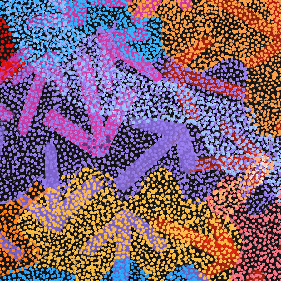 Aboriginal Artwork by Margaret Nangala Gallagher, Yankirri Jukurrpa (Emu Dreaming), 153x76cm