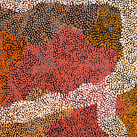 Aboriginal Artwork by Margaret Nangala Gallagher, Yankirri Jukurrpa (Emu Dreaming), 183x61cm