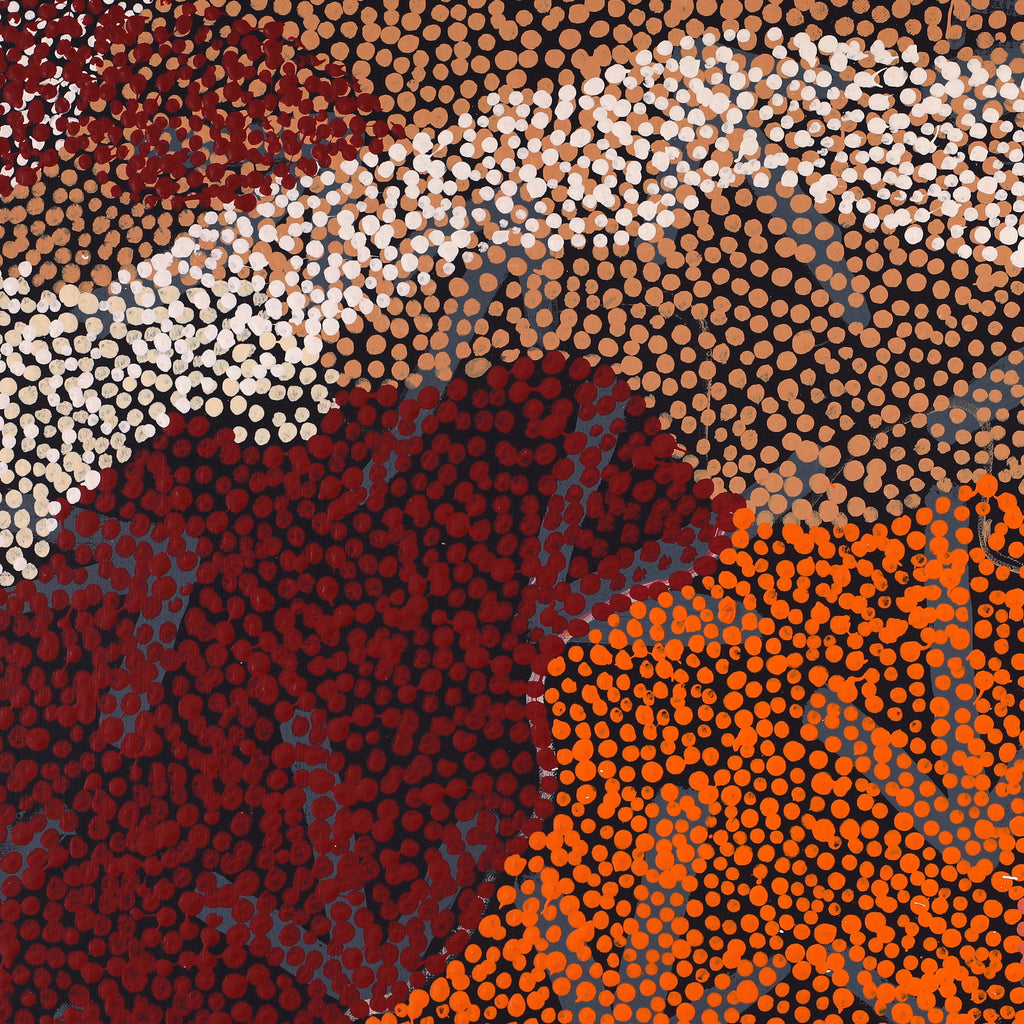 Aboriginal Artwork by Margaret Nangala Gallagher, Yankirri Jukurrpa (Emu Dreaming), 183x61cm