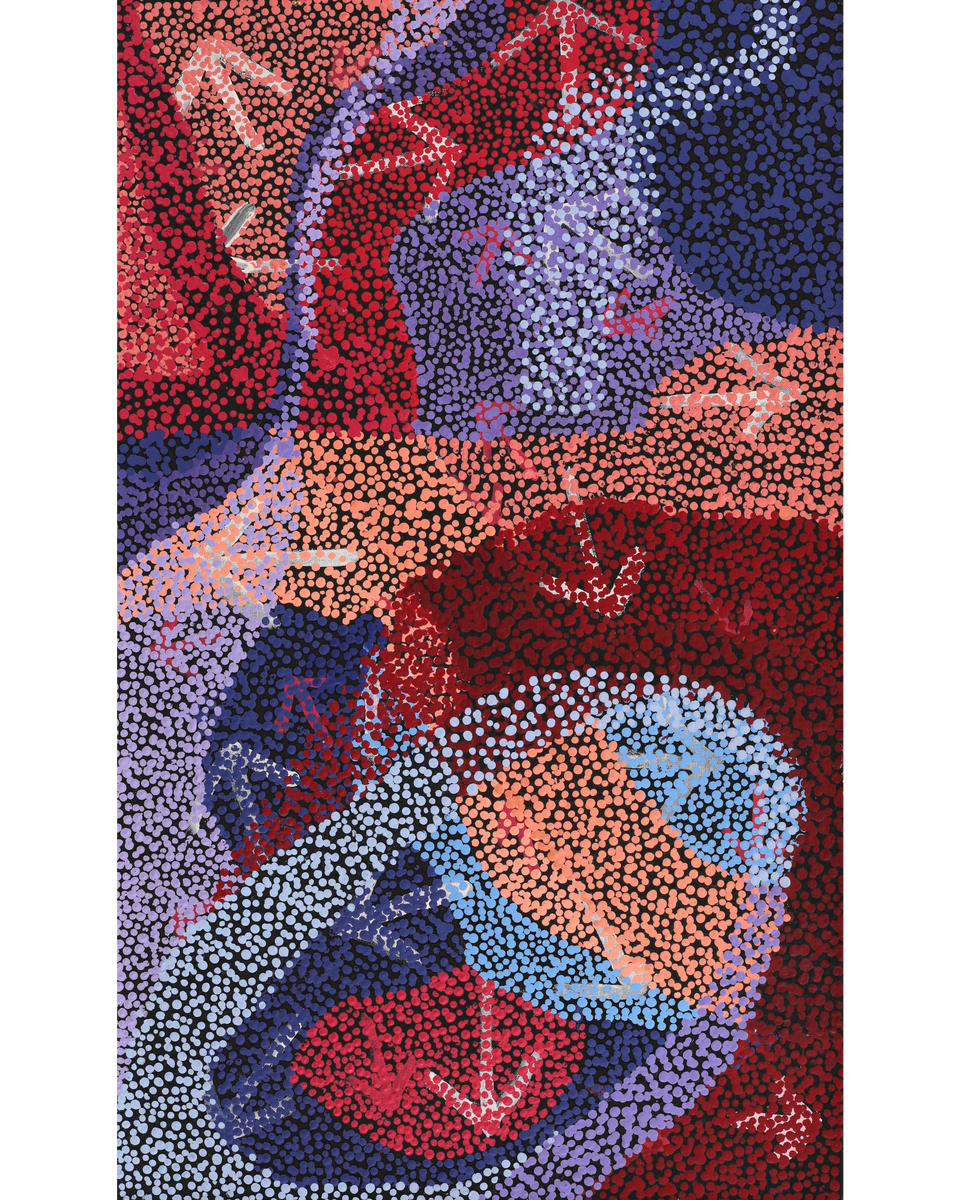 Aboriginal Artwork by Margaret Nangala Gallagher, Yankirri Jukurrpa (Emu Dreaming), 76x46cm