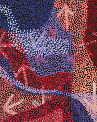 Aboriginal Artwork by Margaret Nangala Gallagher, Yankirri Jukurrpa (Emu Dreaming), 76x46cm