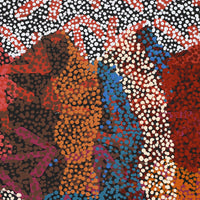 Aboriginal Artwork by Margaret Nangala Gallagher, Yankirri Jukurrpa (Emu Dreaming), 76x46cm