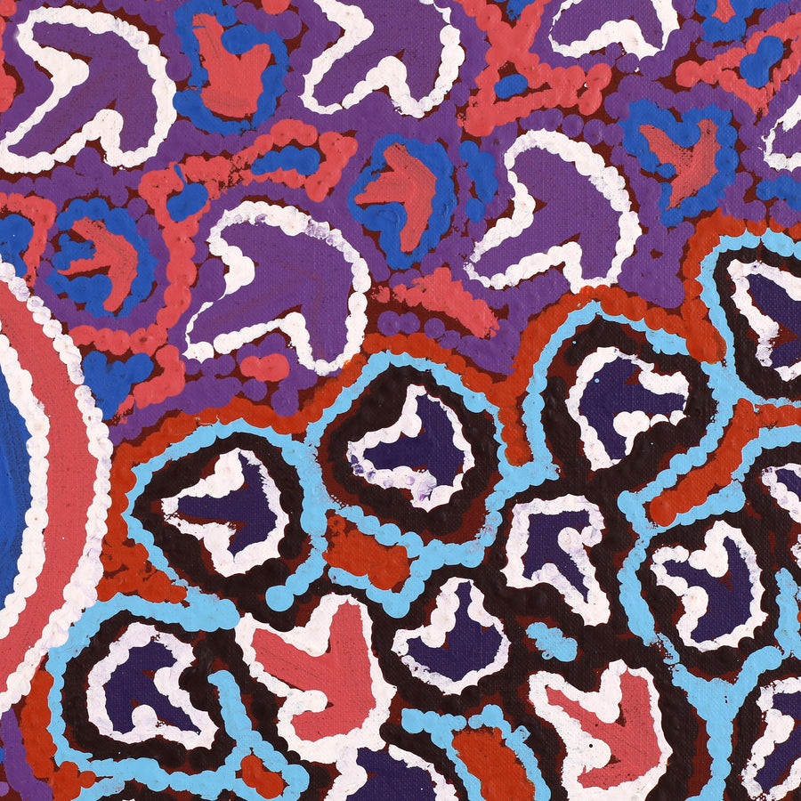Aboriginal Artwork by Margaret Nangala Gallagher, Yankirri Jukurrpa (Emu Dreaming), 76x61cm