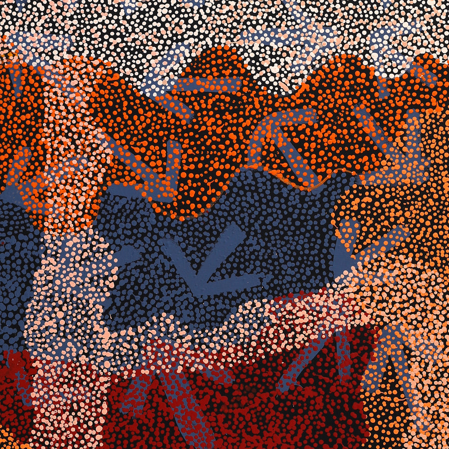 Aboriginal Artwork by Margaret Nangala Gallagher, Yankirri Jukurrpa (Emu Dreaming), 183x61cm