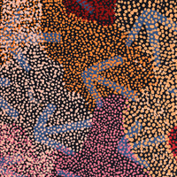 Aboriginal Artwork by Margaret Nangala Gallagher, Yankirri Jukurrpa (Emu Dreaming), 183x61cm
