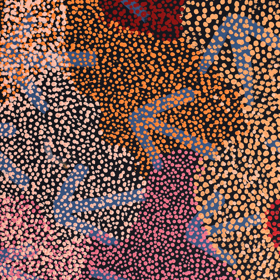 Aboriginal Artwork by Margaret Nangala Gallagher, Yankirri Jukurrpa (Emu Dreaming), 183x61cm
