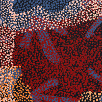 Aboriginal Artwork by Margaret Nangala Gallagher, Yankirri Jukurrpa (Emu Dreaming), 183x61cm
