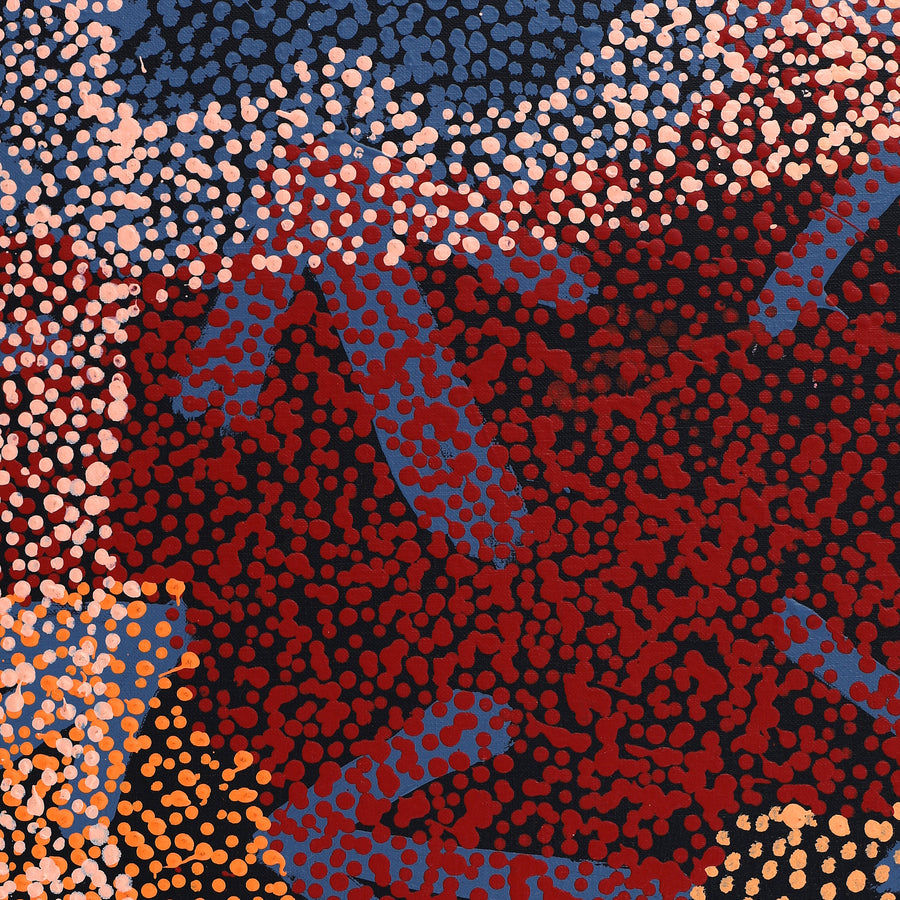 Aboriginal Artwork by Margaret Nangala Gallagher, Yankirri Jukurrpa (Emu Dreaming), 183x61cm