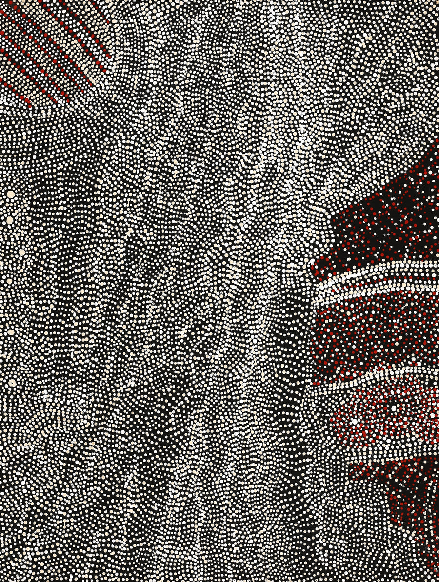 Aboriginal Artwork by Margaret Napangardi Lewis, Mina Mina Dreaming, 61x46cm