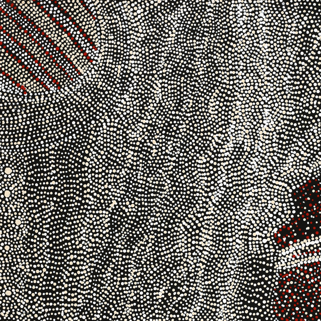 Aboriginal Artwork by Margaret Napangardi Lewis, Mina Mina Dreaming, 61x46cm