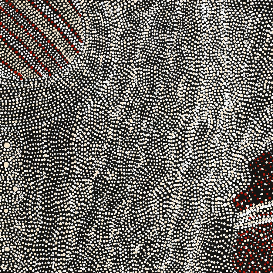 Aboriginal Artwork by Margaret Napangardi Lewis, Mina Mina Dreaming, 61x46cm