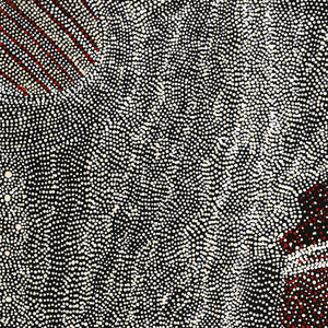 Aboriginal Art by Margaret Napangardi Lewis, Mina Mina Dreaming, 61x46cm - ART ARK®
