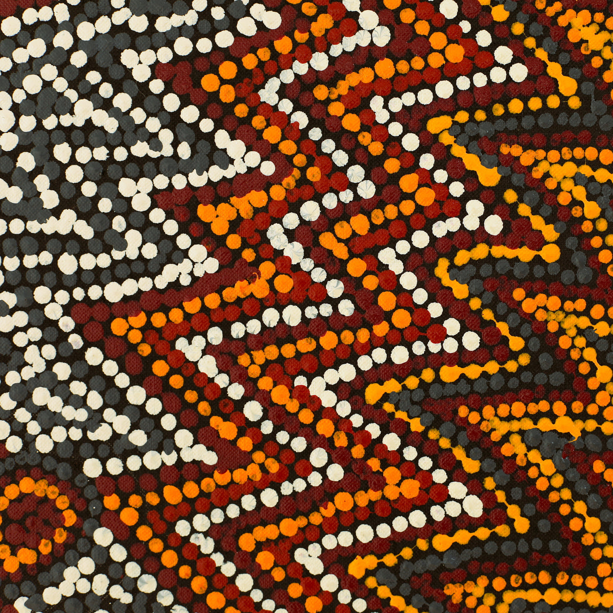 Aboriginal Art by Margaret Napangardi Lewis, Mina Mina Dreaming - Ngalyipi, 61x61cm - ART ARK®