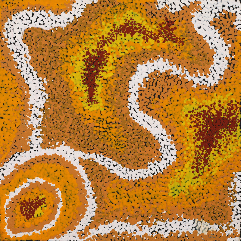 Aboriginal Artwork by Margarina Napanangka Miller, Lukarrara Jukurrpa, 30x30cm