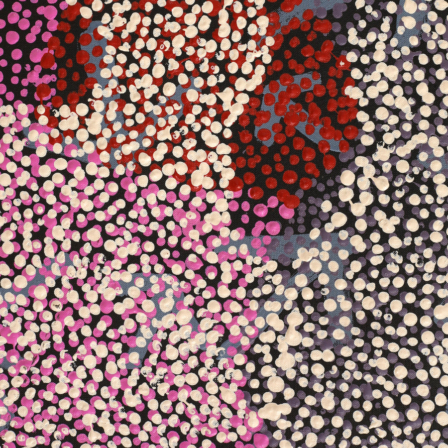 Aboriginal Artwork by Margaret Nangala Gallagher, Yankirri Jukurrpa (Emu Dreaming), 183x61cm