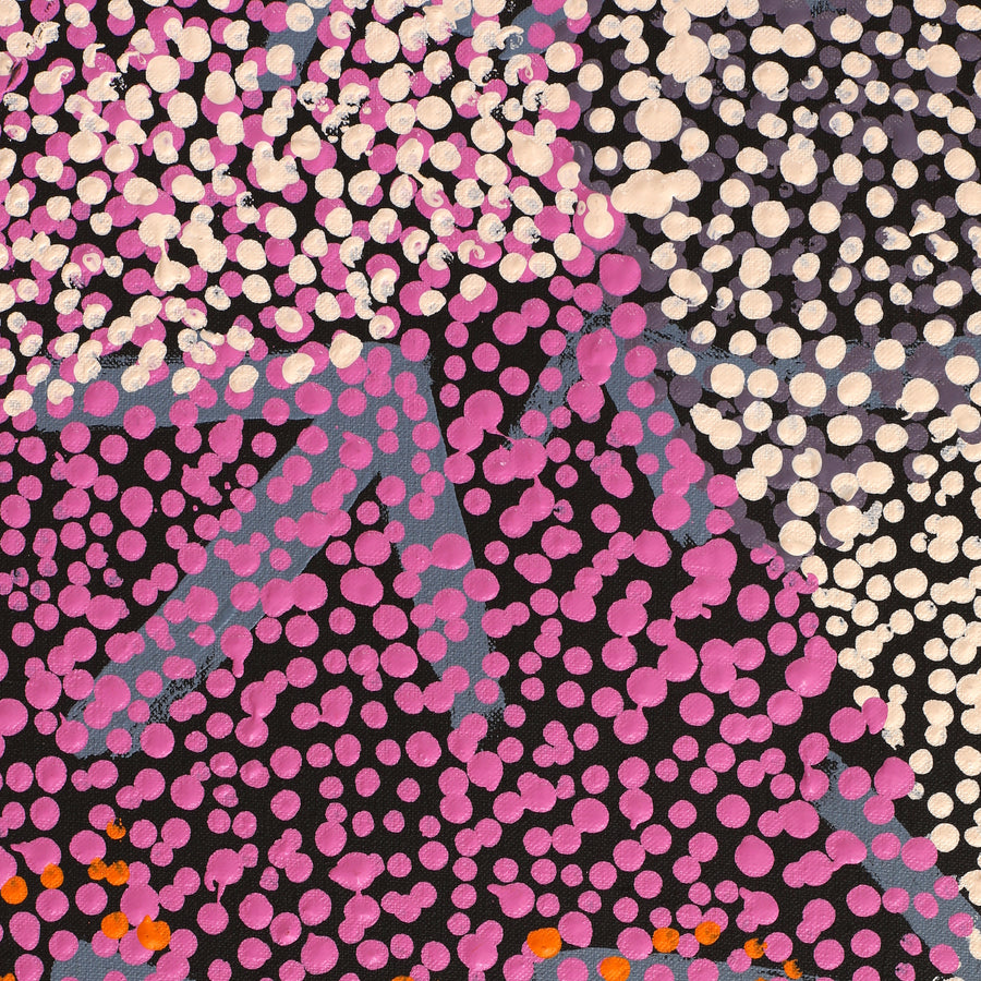 Aboriginal Artwork by Margaret Nangala Gallagher, Yankirri Jukurrpa (Emu Dreaming), 183x61cm