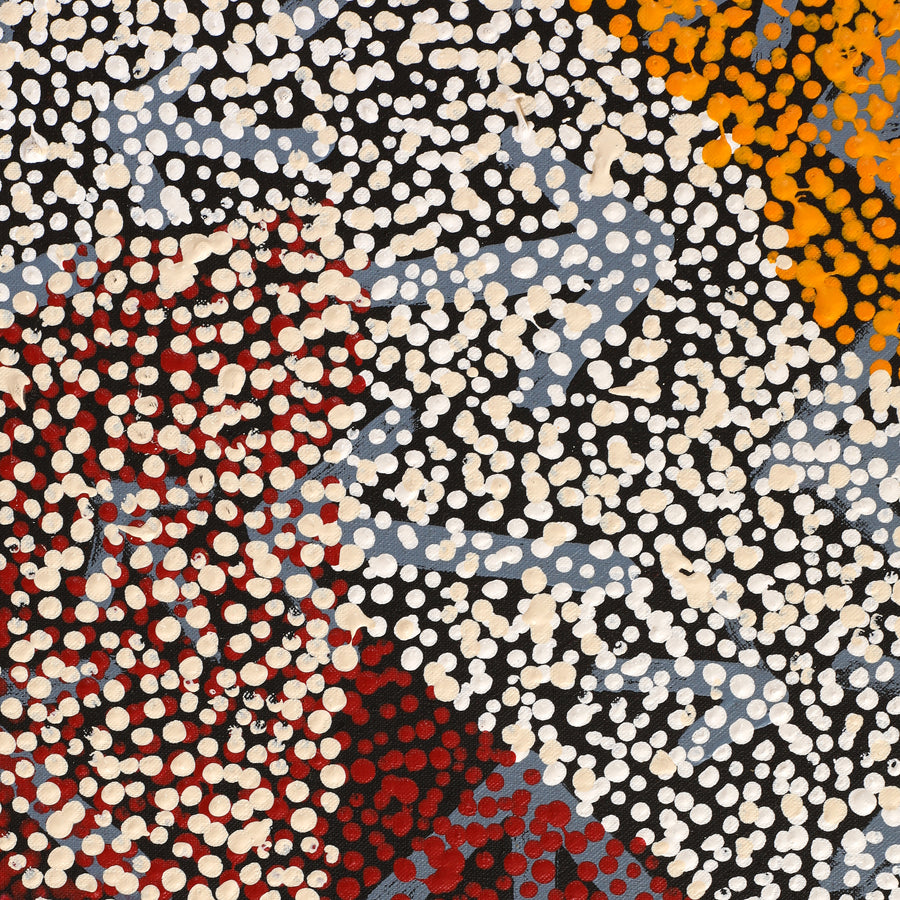 Aboriginal Artwork by Margaret Nangala Gallagher, Yankirri Jukurrpa (Emu Dreaming), 183x61cm