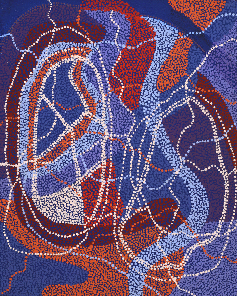 Aboriginal Artwork by Margaret Nangala Gallagher, Yankirri Jukurrpa (Emu Dreaming), 76x61cm