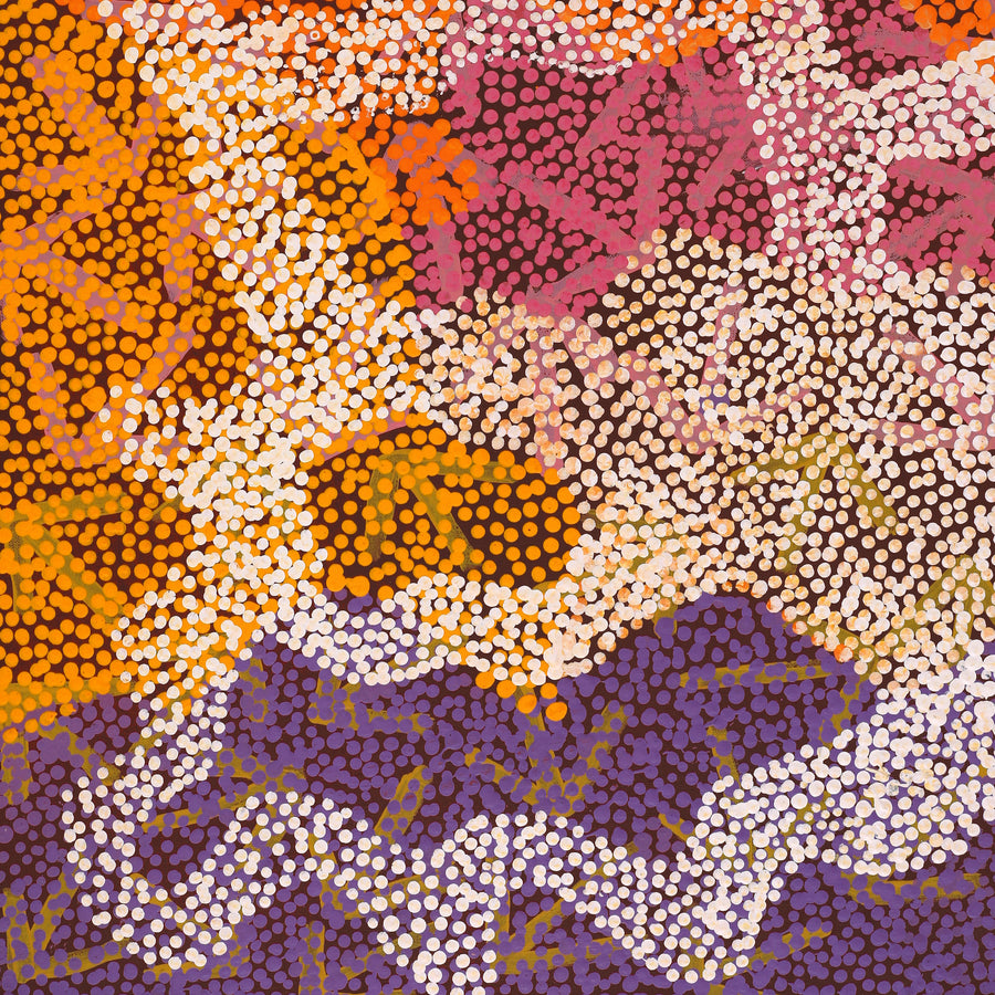 Aboriginal Artwork by Margaret Nangala Gallagher, Yankirri Jukurrpa (Emu Dreaming), 76x46cm