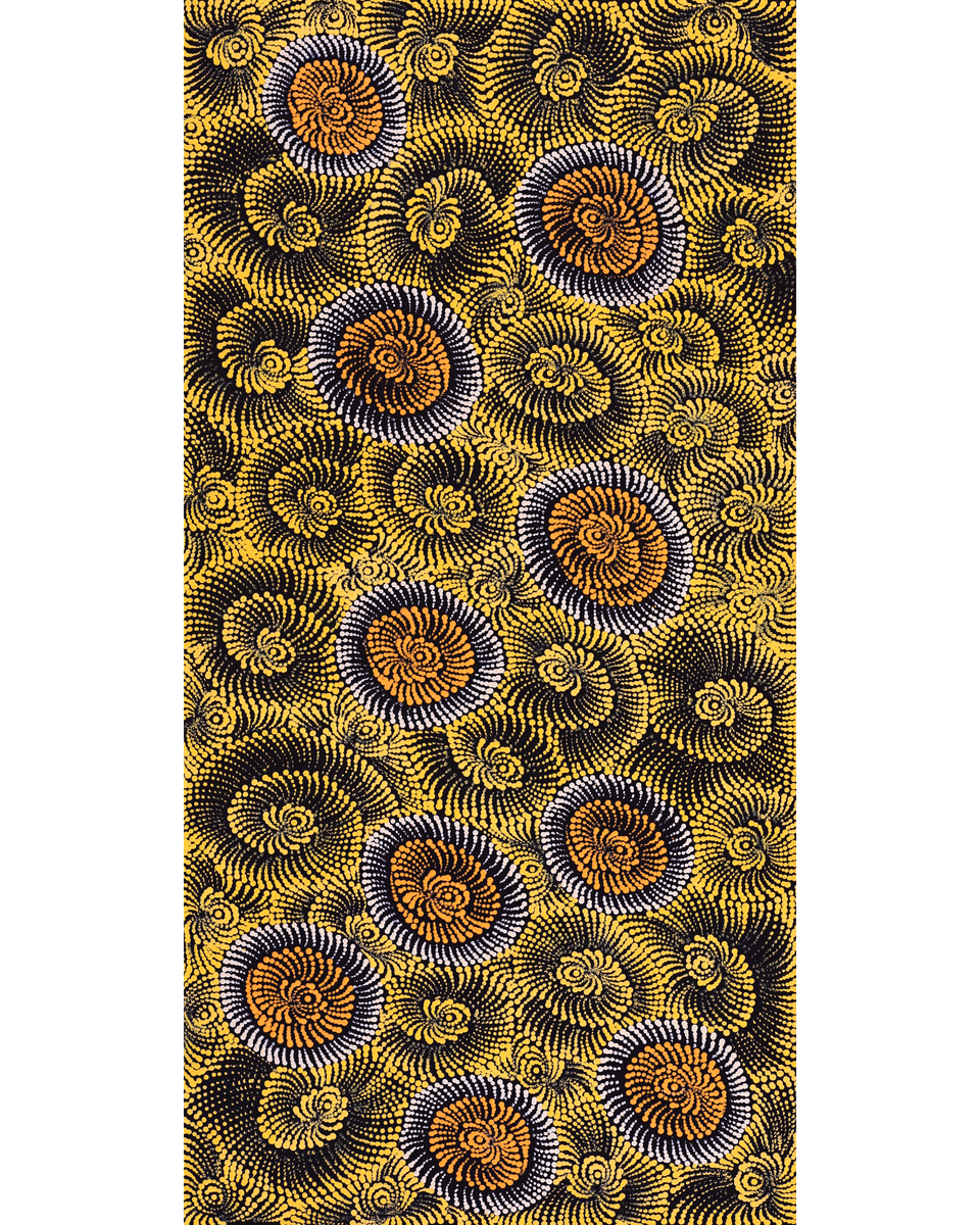Aboriginal Artwork by Maria Nampijinpa Brown, Pamapardu Jukurrpa (Flying Ant Dreaming) - Warntungurru, 122x61cm