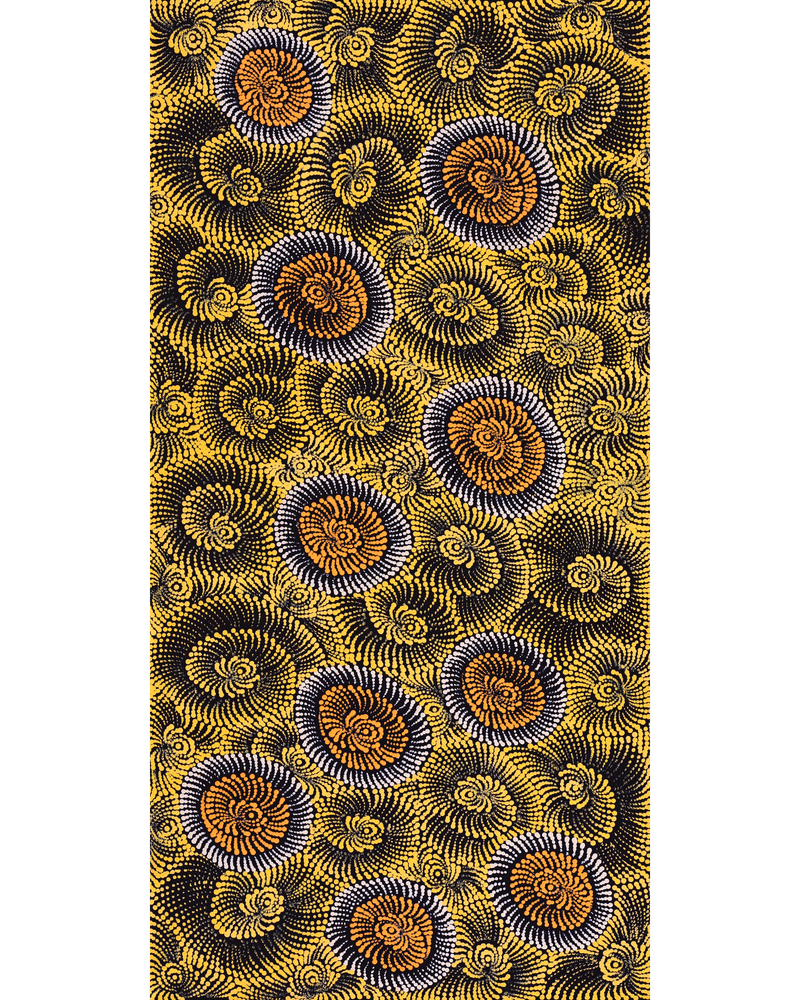 Aboriginal Artwork by Maria Nampijinpa Brown, Pamapardu Jukurrpa (Flying Ant Dreaming) - Warntungurru, 122x61cm