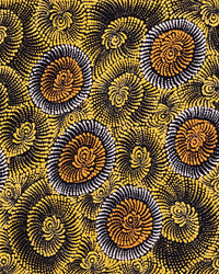 Aboriginal Artwork by Maria Nampijinpa Brown, Pamapardu Jukurrpa (Flying Ant Dreaming) - Warntungurru, 122x61cm