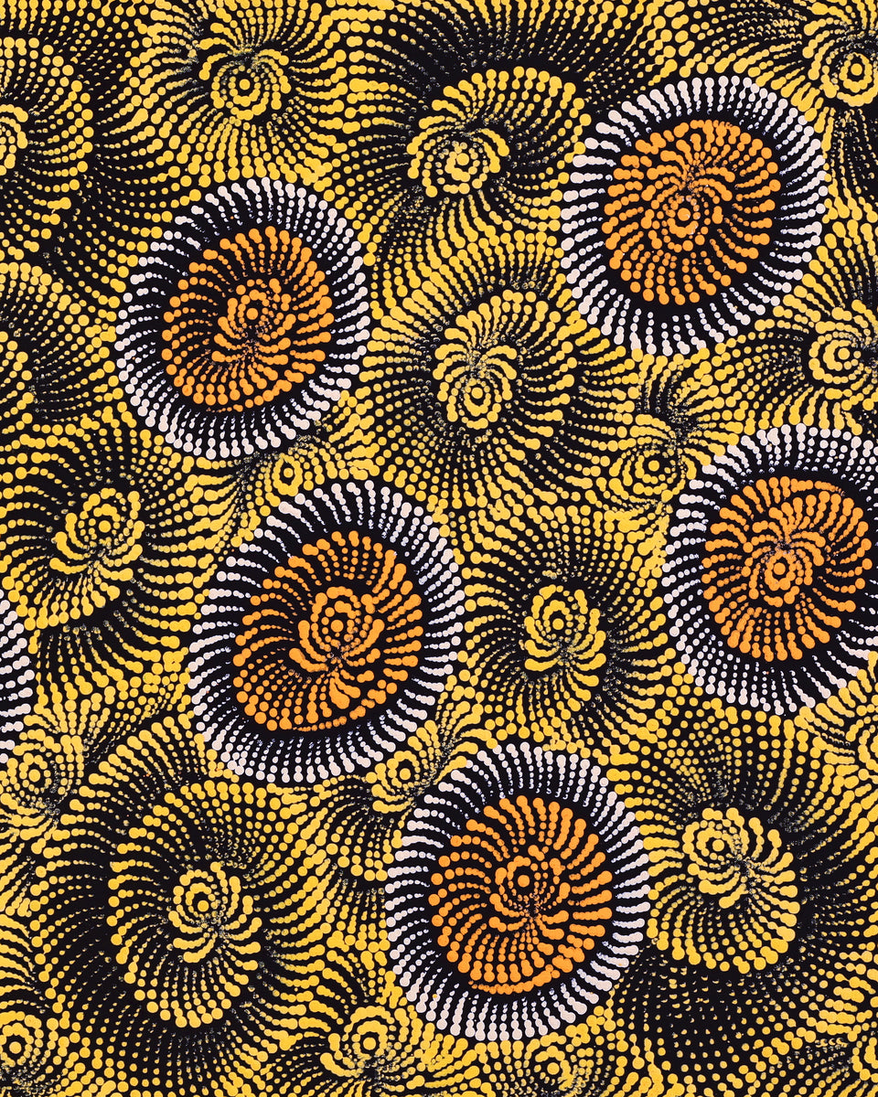 Aboriginal Artwork by Maria Nampijinpa Brown, Pamapardu Jukurrpa (Flying Ant Dreaming) - Warntungurru, 122x61cm
