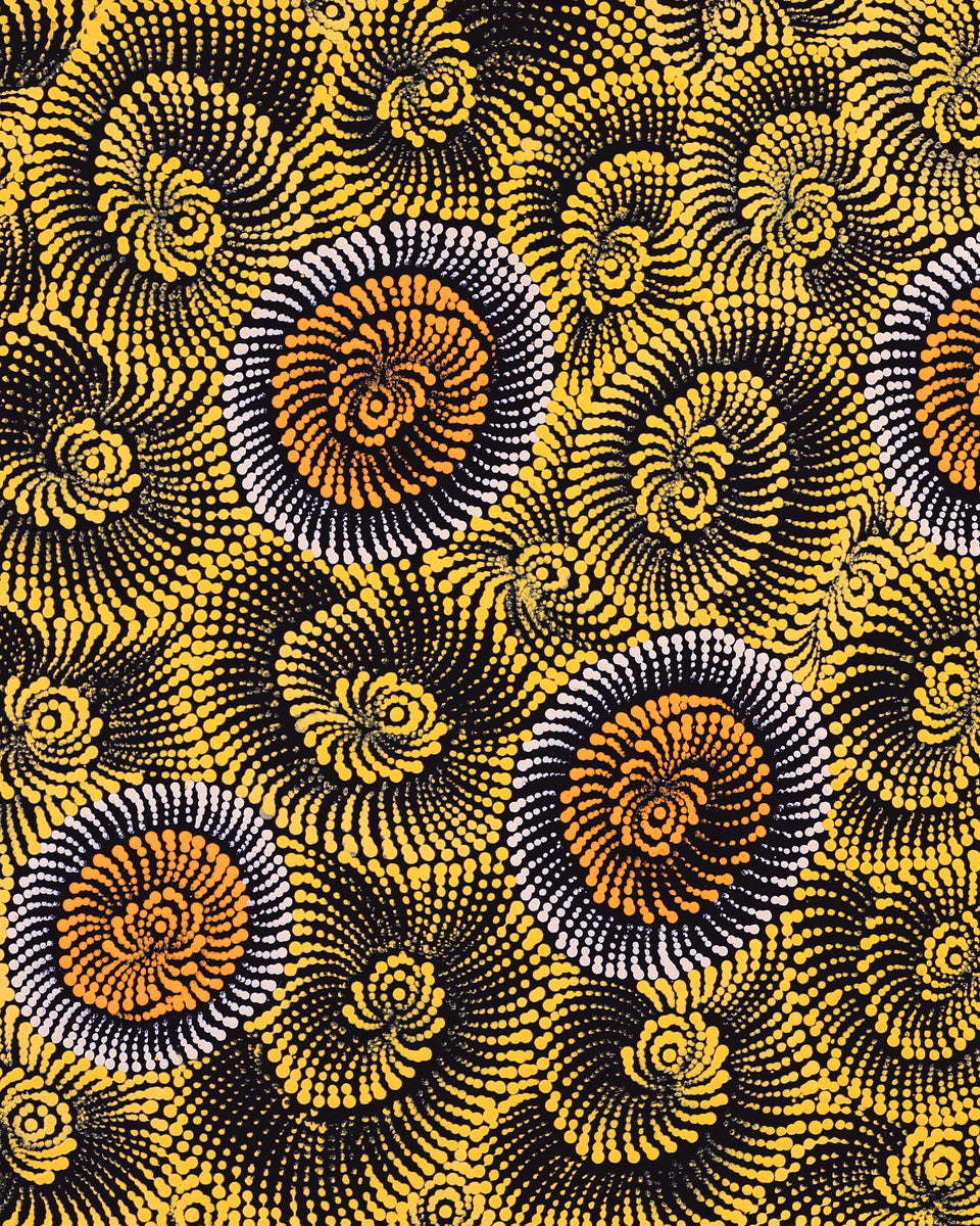 Aboriginal Artwork by Maria Nampijinpa Brown, Pamapardu Jukurrpa (Flying Ant Dreaming) - Warntungurru, 122x61cm