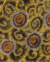 Aboriginal Artwork by Maria Nampijinpa Brown, Pamapardu Jukurrpa (Flying Ant Dreaming) - Warntungurru, 122x61cm