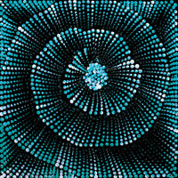 Aboriginal Artwork by Maria Nampijinpa Brown, Pamapardu Jukurrpa (Flying Ant Dreaming) - Warntungurru, 30x30cm
