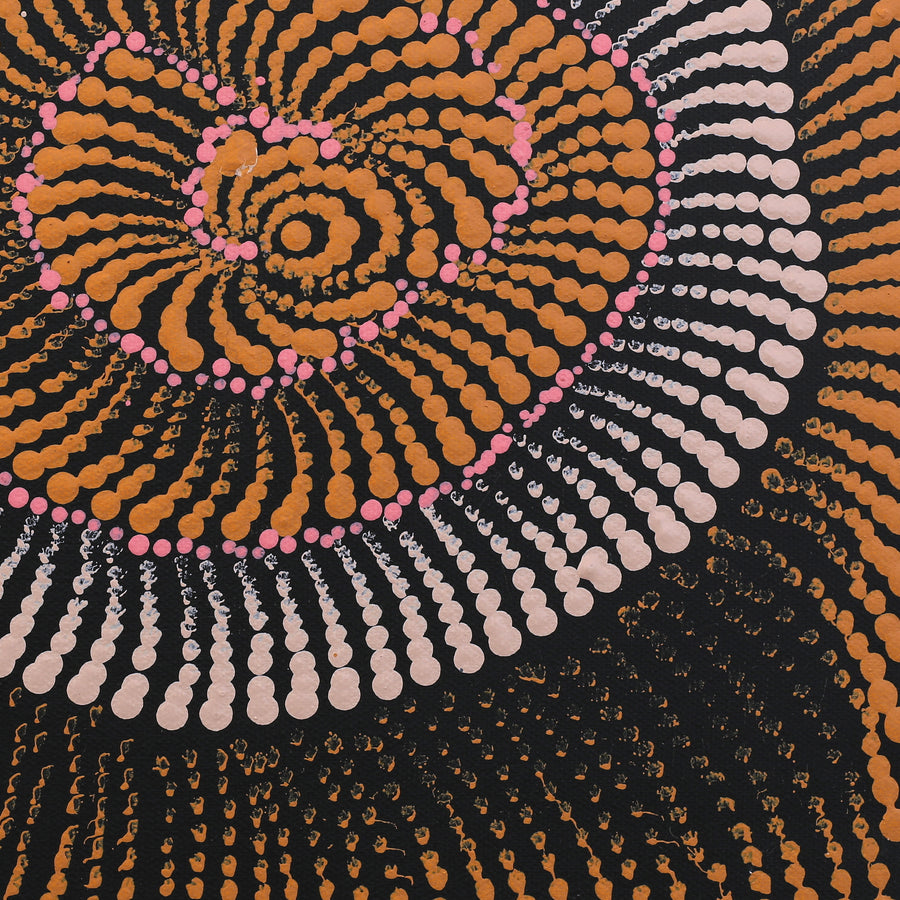 Aboriginal Artwork by Maria Nampijinpa Brown, Pamapardu Jukurrpa (Flying Ant Dreaming) - Warntungurru, 30x30cm