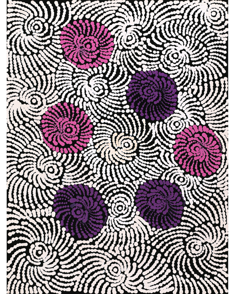 Aboriginal Artwork by Maria Nampijinpa Brown, Pamapardu Jukurrpa (Flying Ant Dreaming) - Warntungurru, 61x46cm
