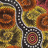 Aboriginal Artwork by Maria Nampijinpa Brown, Pamapardu Jukurrpa (Flying Ant Dreaming) - Warntungurru, 61x46cm
