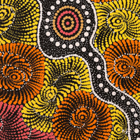 Aboriginal Artwork by Maria Nampijinpa Brown, Pamapardu Jukurrpa (Flying Ant Dreaming) - Warntungurru, 61x46cm